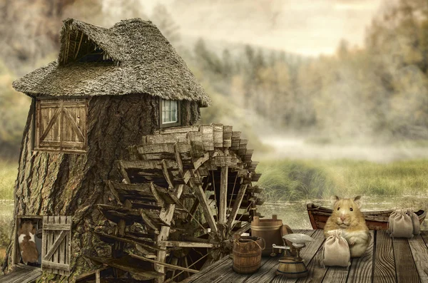 Fairy house (mill) — стоковое фото