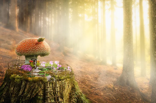 Fairy house (Mushroom) — стоковое фото