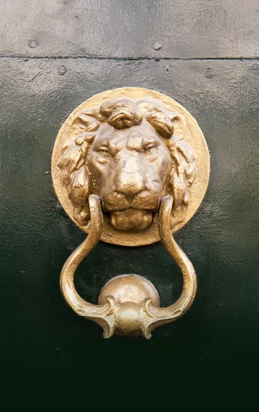 Золотой Лев дверной молоток — стоковое фото