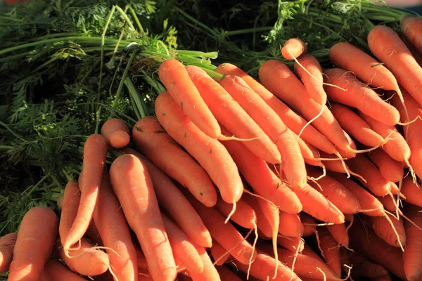 Оранжевый морковный овощной фон — стоковое фото