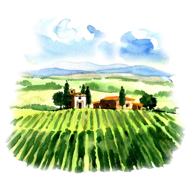 Сельский пейзаж с полей виноградников и стране дом — стоковое фото