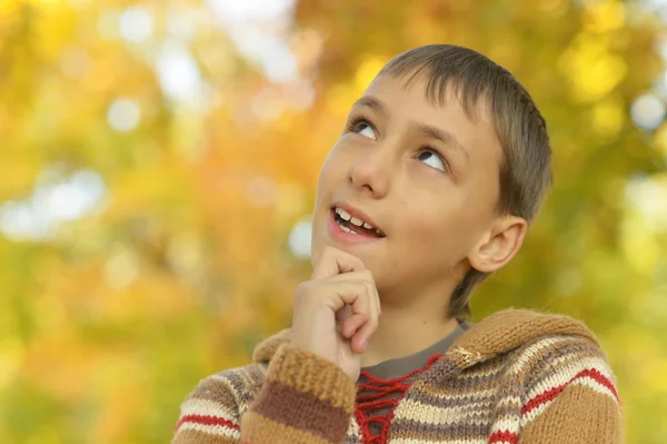 Счастливый мальчик в Осенний парк — стоковое фото