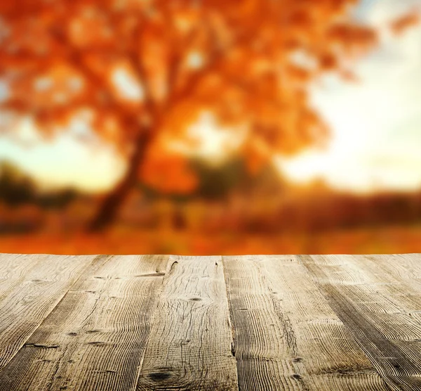 Осенний фон с деревянными досками — стоковое фото