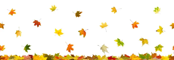 Панорамный Осенний фон — стоковое фото