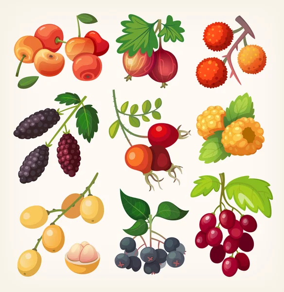 Сочные ягоды красочные иконки — стоковый вектор