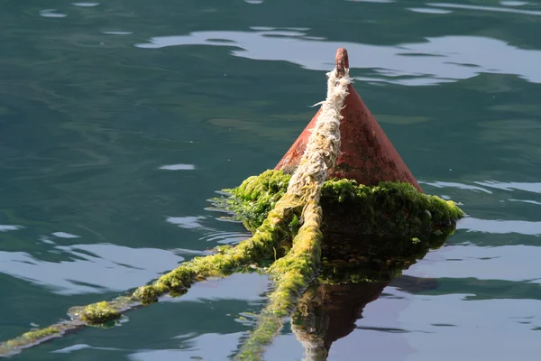 Старый красный буй, покрытые водорослями в море макро — стоковое фото