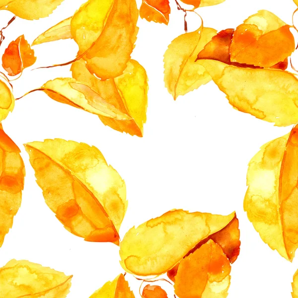 Желтые осенние листья на ветке — стоковое фото