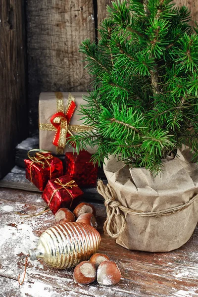 Рождественская елка в горшке — стоковое фото