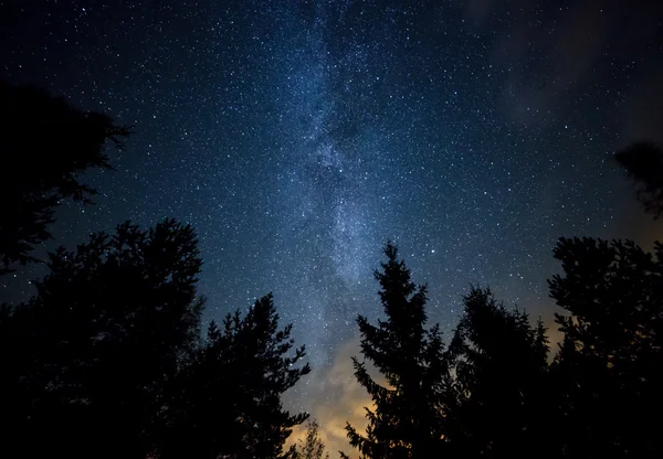 Млечный путь над лесом — стоковое фото