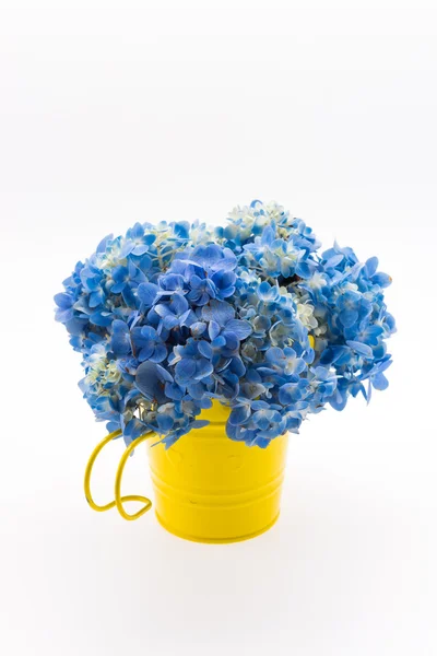 Букет цветов гортензии — стоковое фото