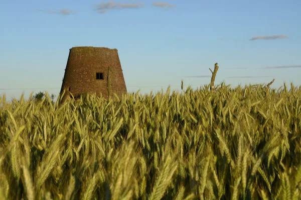 Недалеко от города - сельского пейзажа - старая ветряная мельница на fiel — стоковое фото