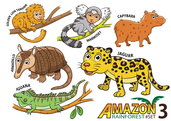 Милый мультфильм животных и птиц в районах Амазонки Су — стоковое фото