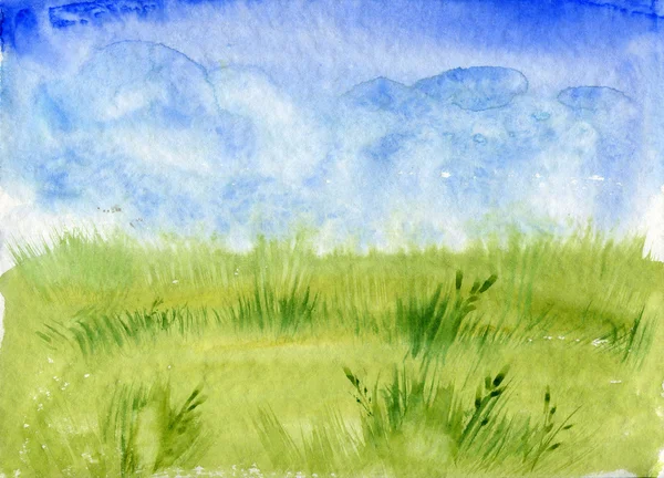 Луговые травы и голубое небо — стоковое фото