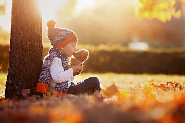 Прелестный маленький мальчик с мишкой в парке на осенний день — стоковое фото