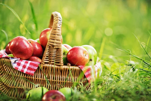 Богатые органические яблоки в корзине — стоковое фото