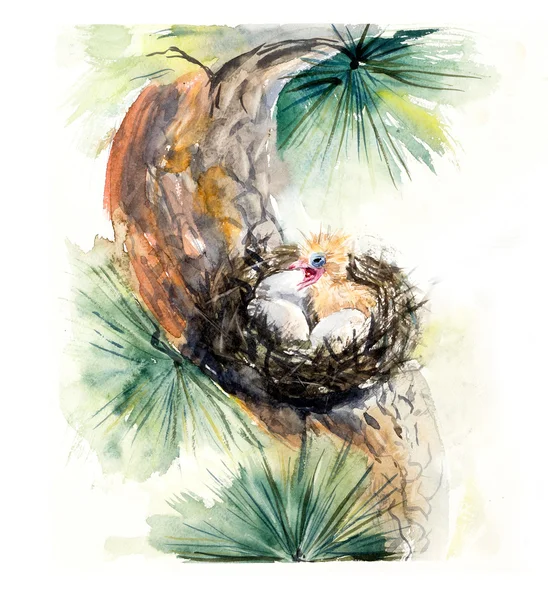 Семья. Гнездо с ребенок птица и яйца — стоковое фото