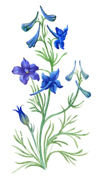 Голубой акварелью полевые цветы — стоковое фото