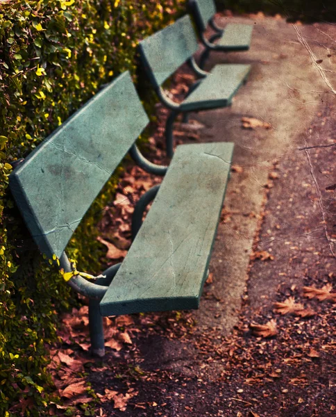 Зеленый деревянные скамейки — стоковое фото