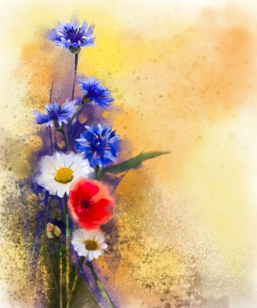 Василек синий, Уайт Дейзи живописи и акварели красные цветы мака — стоковое фото