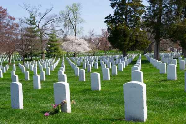 Арлингтонское кладбище могилы — стоковое фото