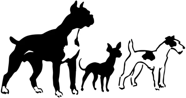 Три породы собак — стоковый вектор