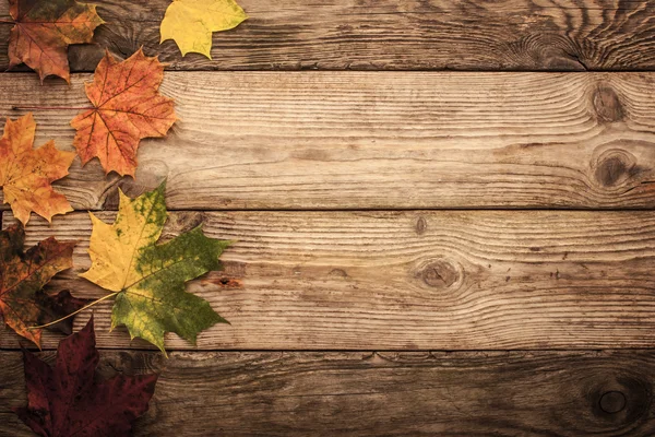 Осенний клен листья на деревянный стол с фоном эффект фильтра фильм — стоковое фото