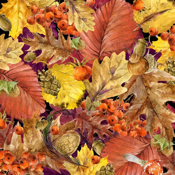 Осенняя природа фон красочные листья, фрукты, ягоды, грибы, желтые листья, плоды шиповника на черном фоне. Акварельные иллюстрации с местом для текста — стоковое фото