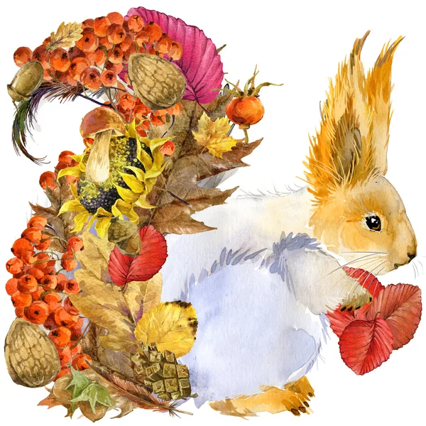 Лес животного белка, осень, природа красочные листья фон, фрукты, ягоды, грибы, желтые листья, плоды шиповника на черном фоне. акварельный рисунок — стоковое фото