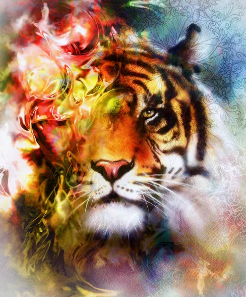 Тигр коллаж на цвет абстрактный фон и мандалы с ornamet, дикие животные — стоковое фото