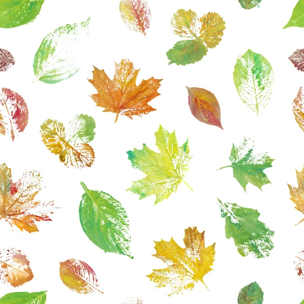 Красочные листья окрашены в акварель картины — стоковое фото