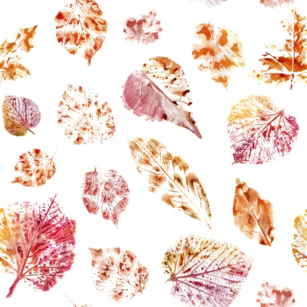Акварель фон. Осенние листья на белом фоне — стоковое фото