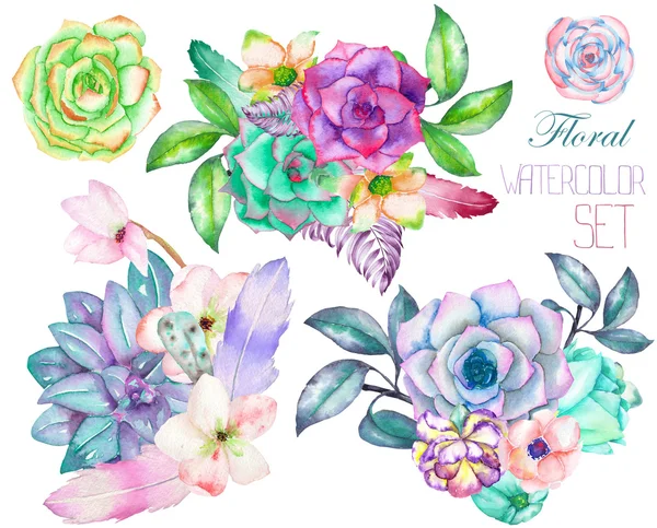 Декоративную букеты с акварельными цветочными элементами: суккуленты, цветы, листья и ветви — стоковое фото
