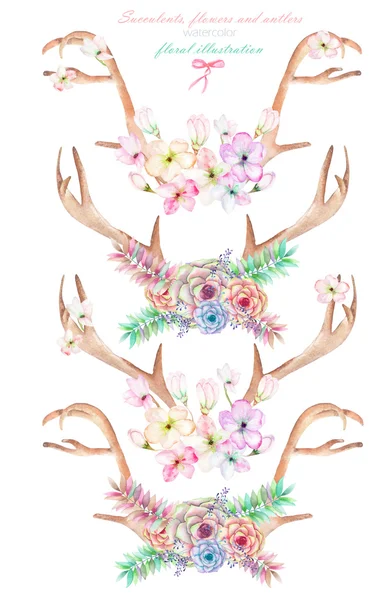 A set with the watercolor antlers, horns entwined by flowers, succulents, leaves and plants — стоковое фото