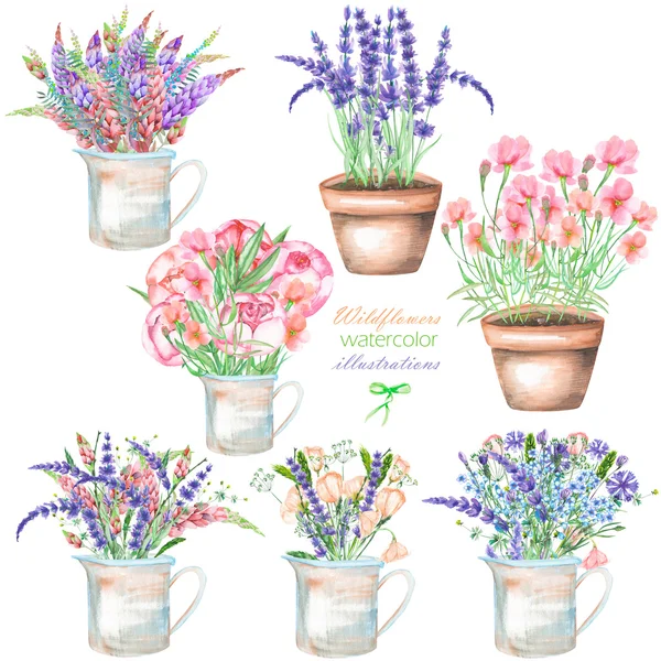 Набор иллюстраций с букетом красивых полевых цветов в деревенском банке и горшки — стоковое фото