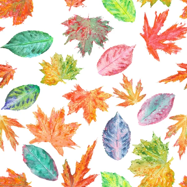 Шаблон с акварелью осенние листья — стоковое фото