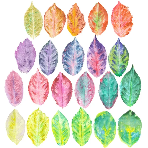 Набор с акварелью осенние листья — стоковое фото