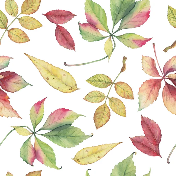 Бесшовный фон с осенними листьями. Оригинальные яркими цветами акварель фон — стоковое фото