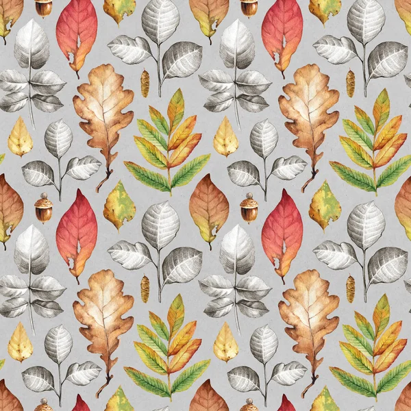 Иллюстрации из осенних листьев — стоковое фото