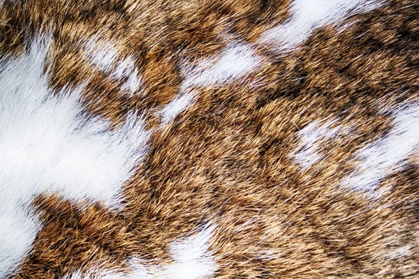 Кролик текстуру кожи — стоковое фото