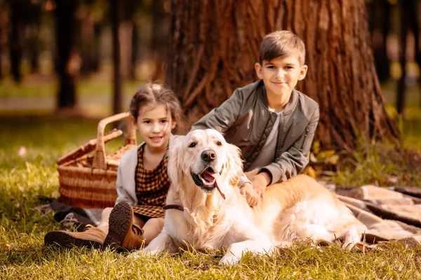 Дети, ласки собакой в парке — стоковое фото