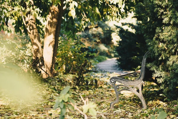Скамья в осеннем парке — стоковое фото