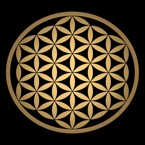 Сакральной геометрии. Древний символ Золотой цветок жизни на черном фоне. Цветок с шестью лепестками. Древний символ семя жизни — стоковый вектор