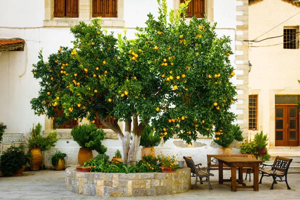 Апельсиновое Дерево Обеденный Стол Патио Греция — стоковое фото