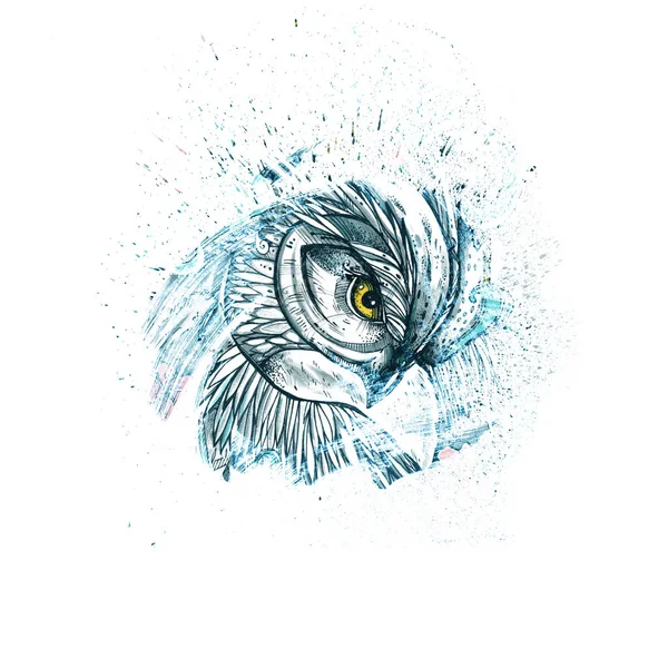 Красивые иллюстрации с сова — стоковое фото