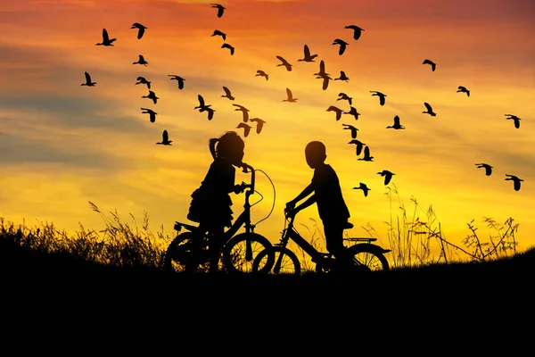 Силуэт маленький мальчик и девочка, езда велосипеде взгляд стадо меньшей свистящая утка или меньшей свистящая утка чирок, полет на закате — стоковое фото