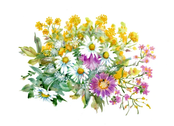 Рисованной цветы, изолированные на белом фоне — стоковое фото