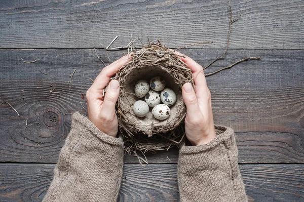 Руки женщины держа гнездо — стоковое фото