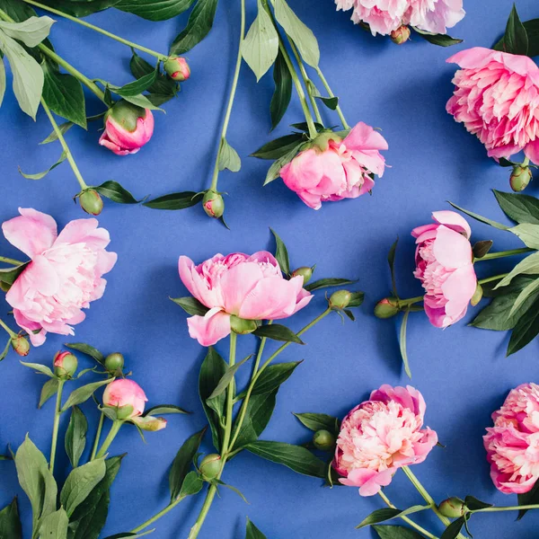 Розовый пион цветы шаблон — стоковое фото