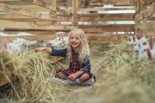 Smiling Kid Sitting Ground Goats Barn Looking Camera — стоковое фото