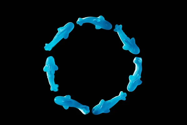 Top View Circle Blue Jelly Candies Shape Dolphins Isolated Black — стоковое фото